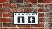 Public toilets promised for Dublin are still at 'concept stage'