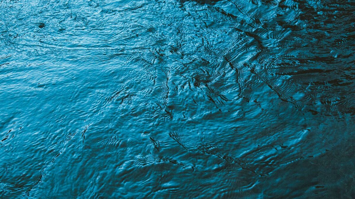Public meeting announced on water quality in Roscommon