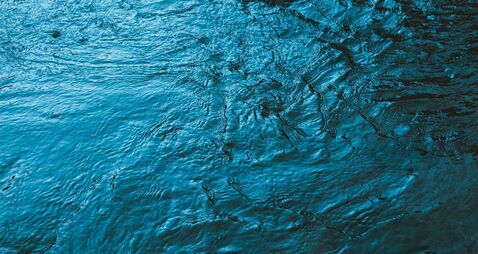 Public meeting announced on water quality in Roscommon