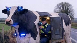 <p>The gardaí unveil their new fleet to tackle speeding.</p>