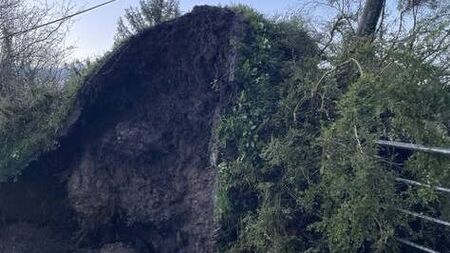 Fallen trees bring down power lines across the county