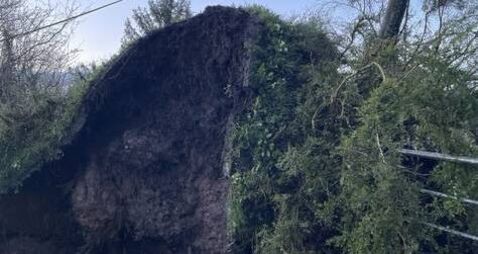 Fallen trees bring down power lines across the county 