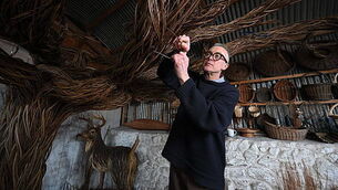 What the papers say: Sunday's front pages What the papers say: Sunday's front pages