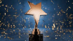 Poster designed by Roscommon student wins top prize