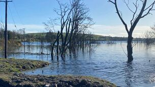 <p>Lough Funshinagh has been repeatedly subject to flooding over the last decade. Picture from 2024.</p>