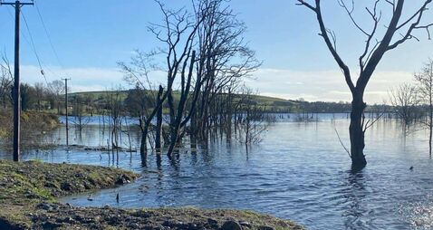 Consultation event on Lough Funshinagh plan 