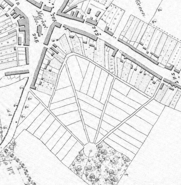 The Plots form a unique arrangement of gardens, allotments and trees. 