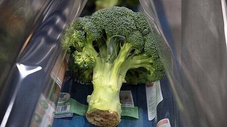 Country's largest broccoli producer and Kildare farmers oppose €168m solar farm