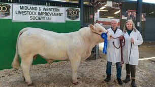 <p>Michael and Mary McGowan from Kilmore exhibit their Charolais bull Corralara Valiant, which sold for €7,000 at a Midland &amp; western Livestock Improvement Society Ltd pedigree sale in Carrick-on-Shannon. Pic: Gerry Faughnan</p>