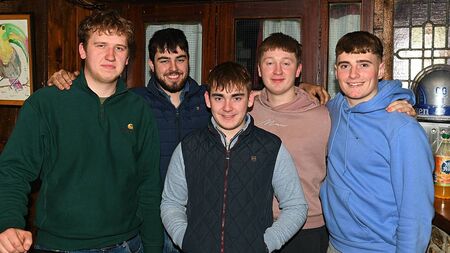 Local Notes: Big GAA Draw, Spring Clean, Fundraiser For Bog Walk