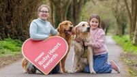 Nominations sought for Petmania Ruby Heart Awards