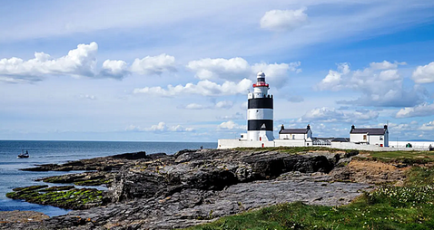 Rare plant discovery stalls works at world’s longest operational lighthouse in Wexford