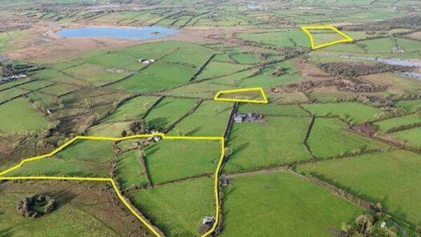 County Roscommon residential farm can be sold in lots
