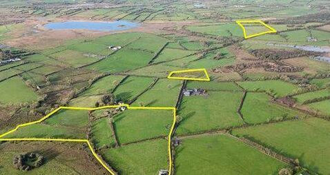 County Roscommon residential farm can be sold in lots 