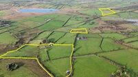 County Roscommon residential farm can be sold in lots 