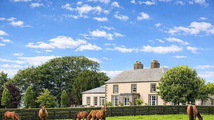 New wetland restoration project opens a call for public participation