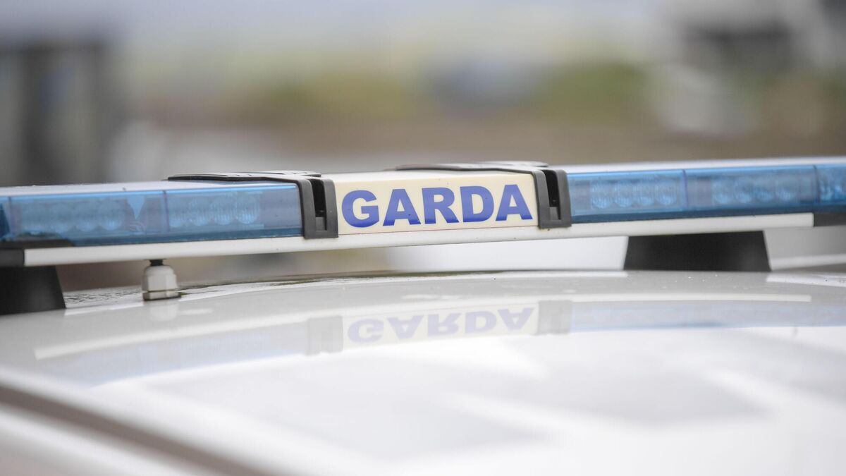 Local senator praises work of Roscommon gardaí following burglary convictions