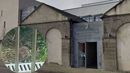 Courts Service steps up measures to keep rats out of Limerick Criminal Courts