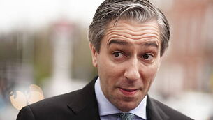 ISPCA issues nationwide fostering appeal for 24 rescued ponies, donkeys and horses