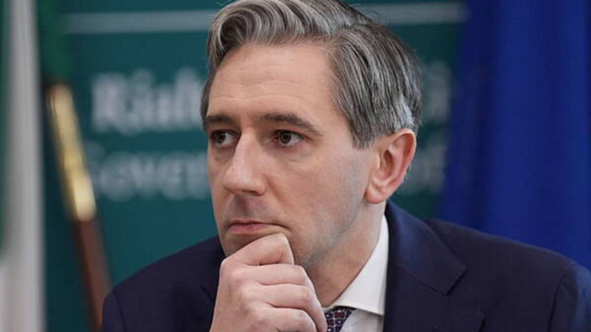 Fuel protests did not prompt decision on income tax cuts, Tánaiste says