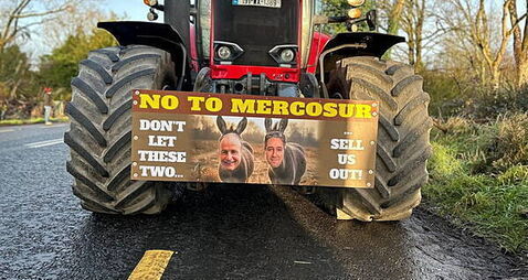 MEP calls for Government to join Polish court in challenging Mercosur deal MEP calls for Government to join Polish court in challenging Mercosur deal