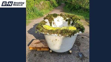 Waterford-based visual artist wins tax battle with Revenue over bathtub sculpture