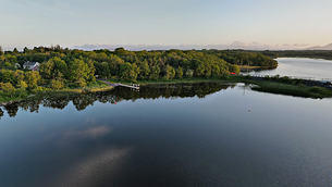 TDs ‘should refrain’ from providing character references, says Martin