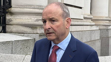 TDs ‘should refrain’ from providing character references, says Martin