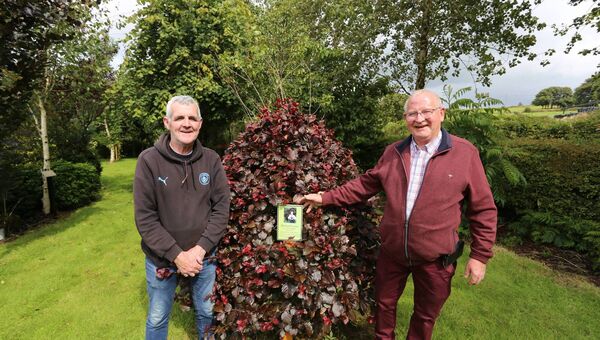 Austin Waldron with Michael Gilligan in front of a tree planted in memory of  Fairymount man Michael Coyne who passed away in 2024 at the age of 107.