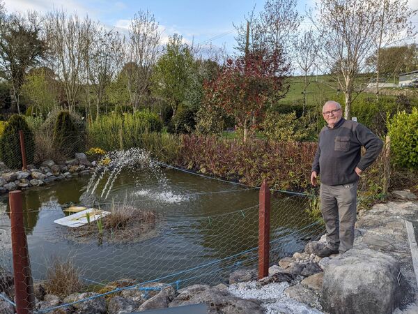 One of the ponds created by Michael Gilligan. Pic. Liam Reynolds