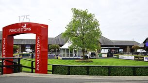 <p>Punchestown drew big vrowds for  opening day of the 2026 Festival. Pic: Michael Chester </p>
