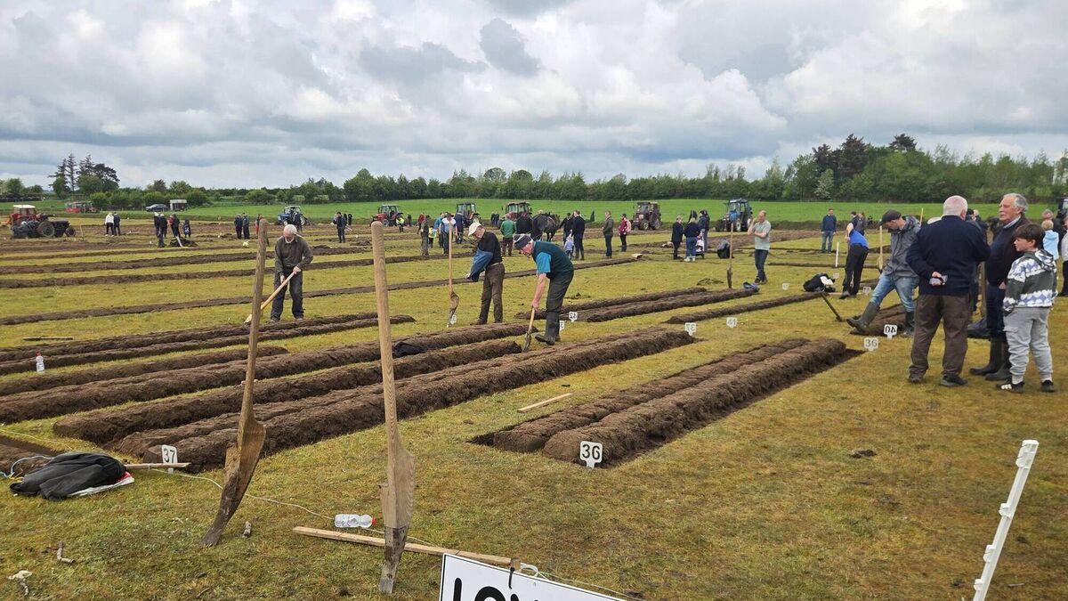 Watch video: Champion loy digger showcases skills at county ploughing championships