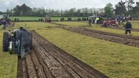 Watch video: Top class ploughing on show in Fuerty