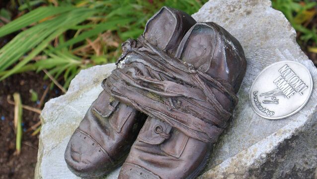'Walk a day in their footsteps': Public urged to join National Famine Way walk 