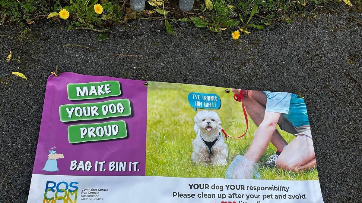 Local Tidy Towns group targets dog fouling in new clean-up drive