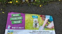 Local Tidy Towns group targets dog fouling in new clean-up drive 