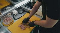 Rodent infestation and inadequate cleaning: FSAI shuts down five food businesses