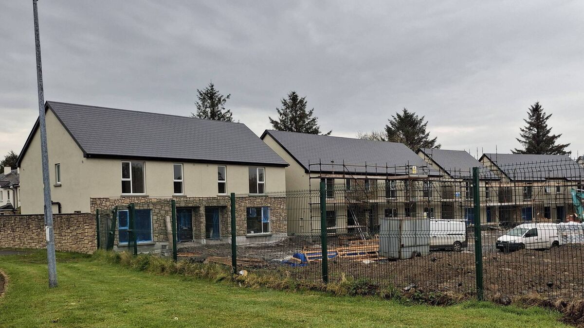 Roscommon County Council buys 40 homes currently under construction for €13.5m