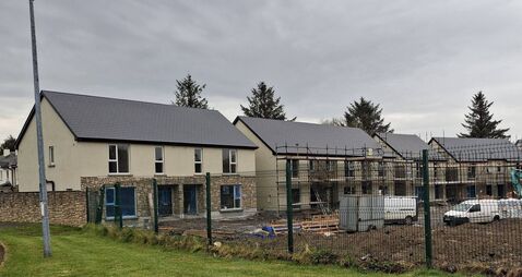 Council buys 40 homes in County Roscommon town
