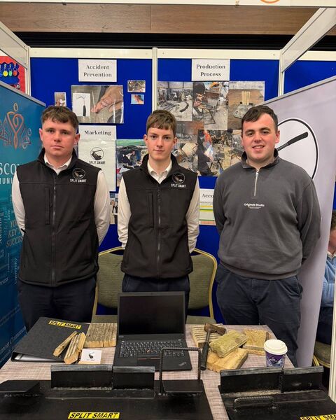 Darragh Conroy and Oisin Connolly from Roscommon Community College represented the county at the national enterprise finals with their project “Split Smart”. 