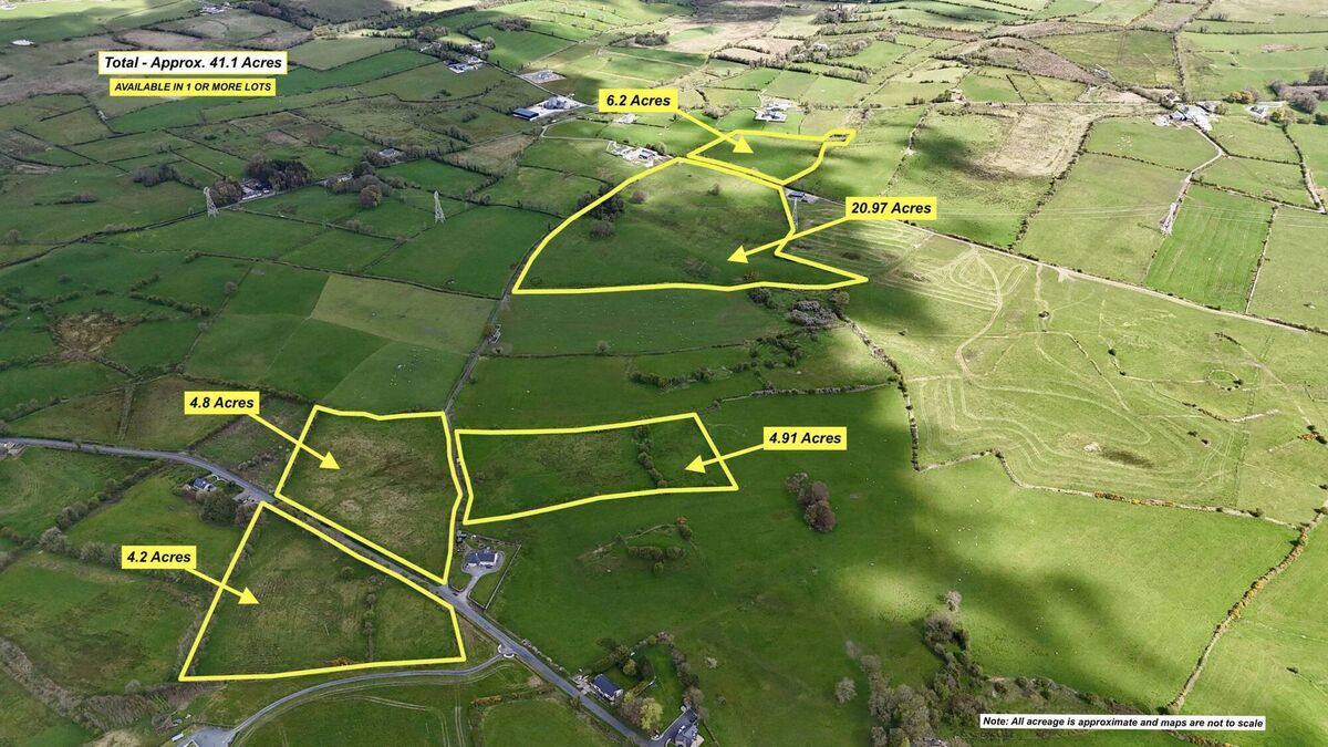 Forty one acre County Roscommon farm on the market for €460,000