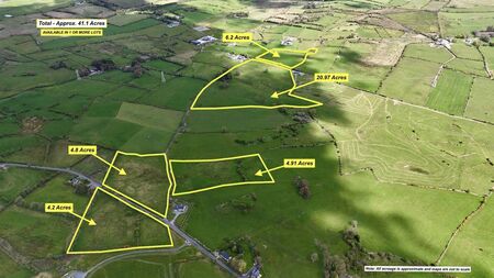 Forty one acre County Roscommon farm on the market for €460,000