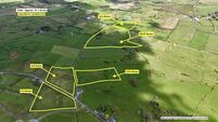 Forty one acre County Roscommon farm on the market for €460,000