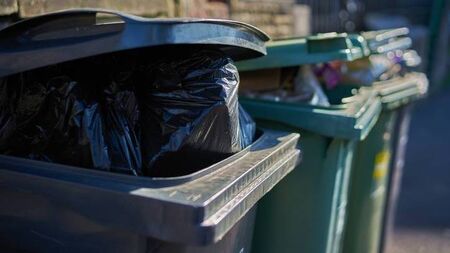 Issues with bin collection highlighted