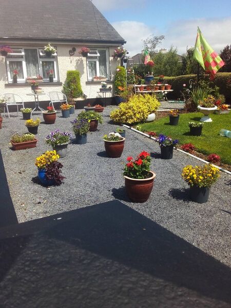 Joe Rogers has his garden ready for summer at Dalton Close, Ballaghaderreen. Joe Rogers has his garden ready for summer at Dalton Close, Ballaghaderreen.