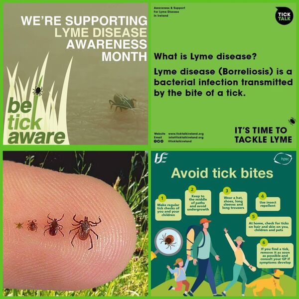 The month of May is dedicated to raising awareness of Lyme disease. The month of May is dedicated to raising awareness of Lyme disease.