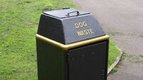 Millions being spent on public realm scheme but cannot get dog waste bins installed