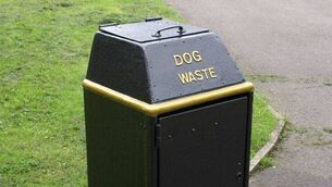 <p>Cllr Sean Moylan is calling for dog waste bins to be installed in Strokestown.</p> <p>Cllr Sean Moylan is calling for dog waste bins to be installed in Strokestown.</p>