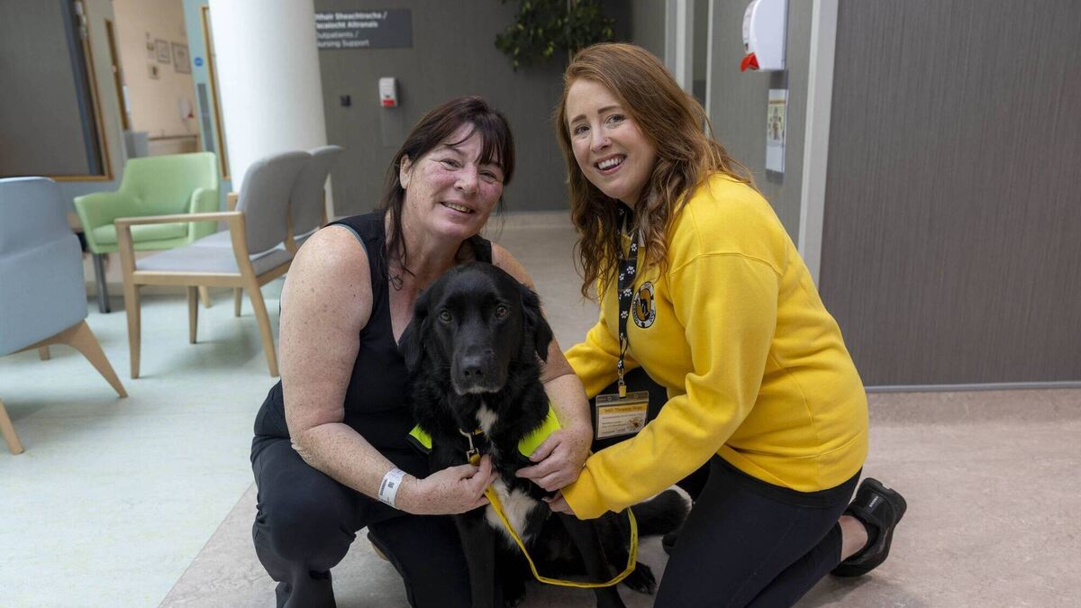 Therapy dog Khai delivers comfort and calm to Roscommon cancer patients