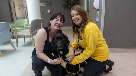 Therapy dog Khai delivers comfort and calm to Roscommon cancer patients